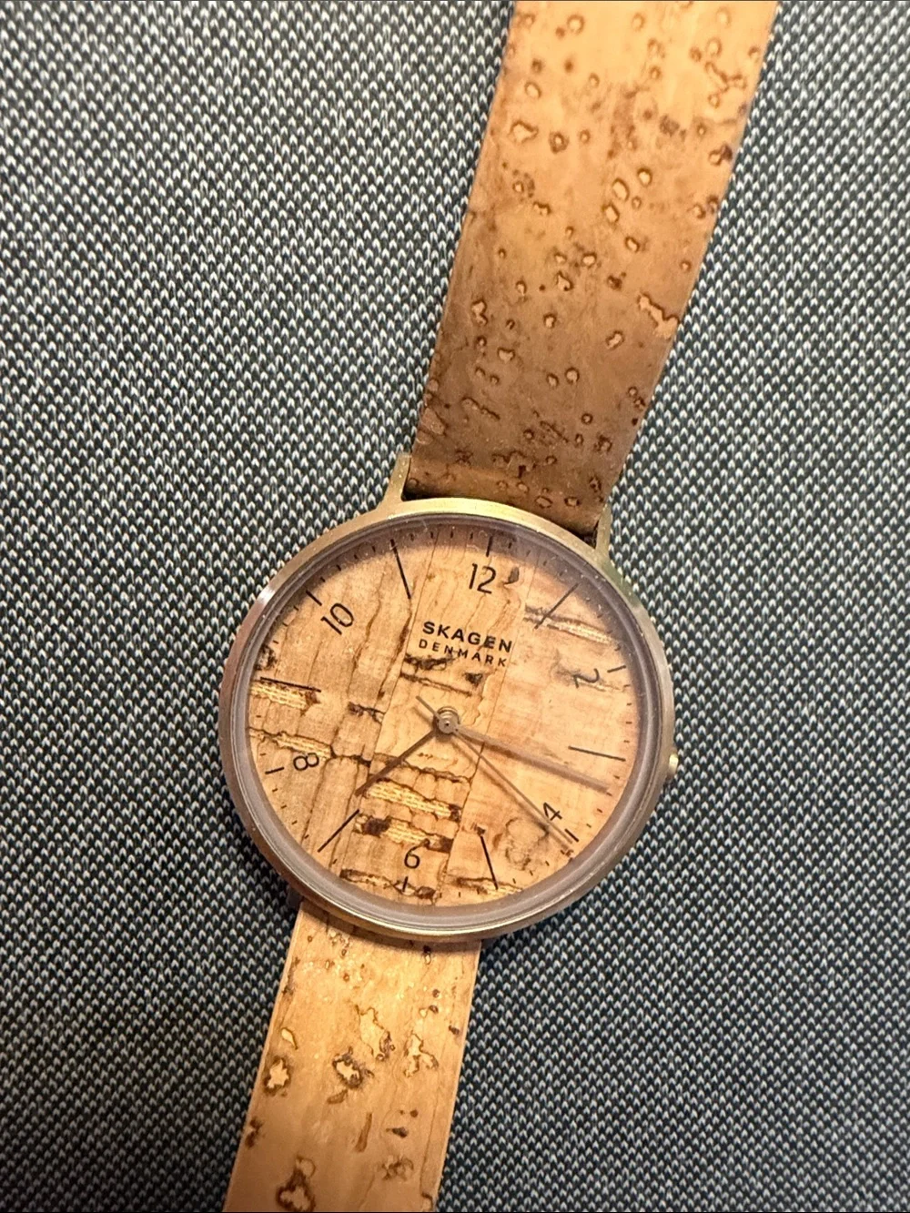 Skagen Men's Cork-Strap Watch in Tan and Silver